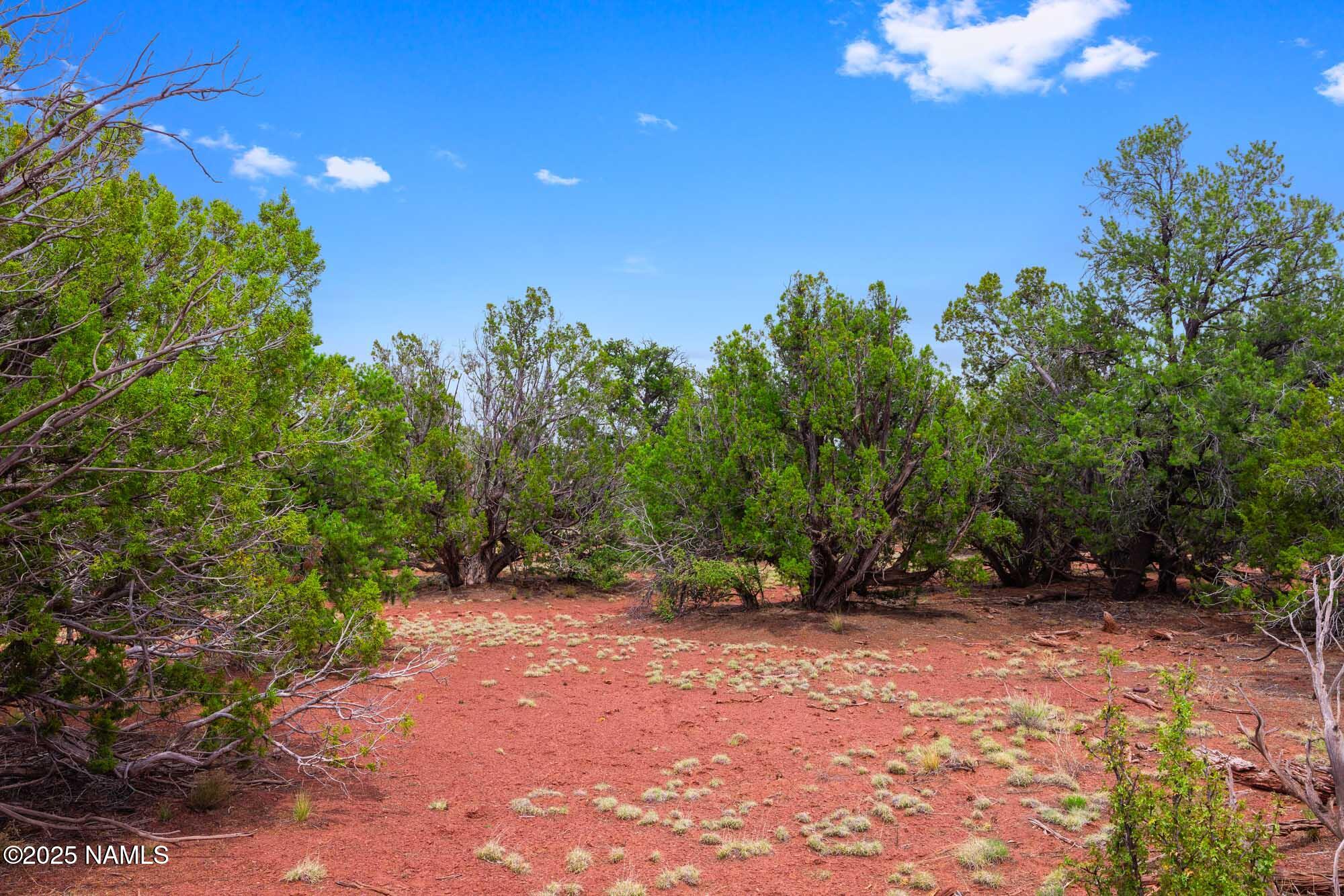 8449 Water Tank Circle, Unit A Williams, AZ 86046 - Photo 34 of 56 a backyard of a house with lots of green space