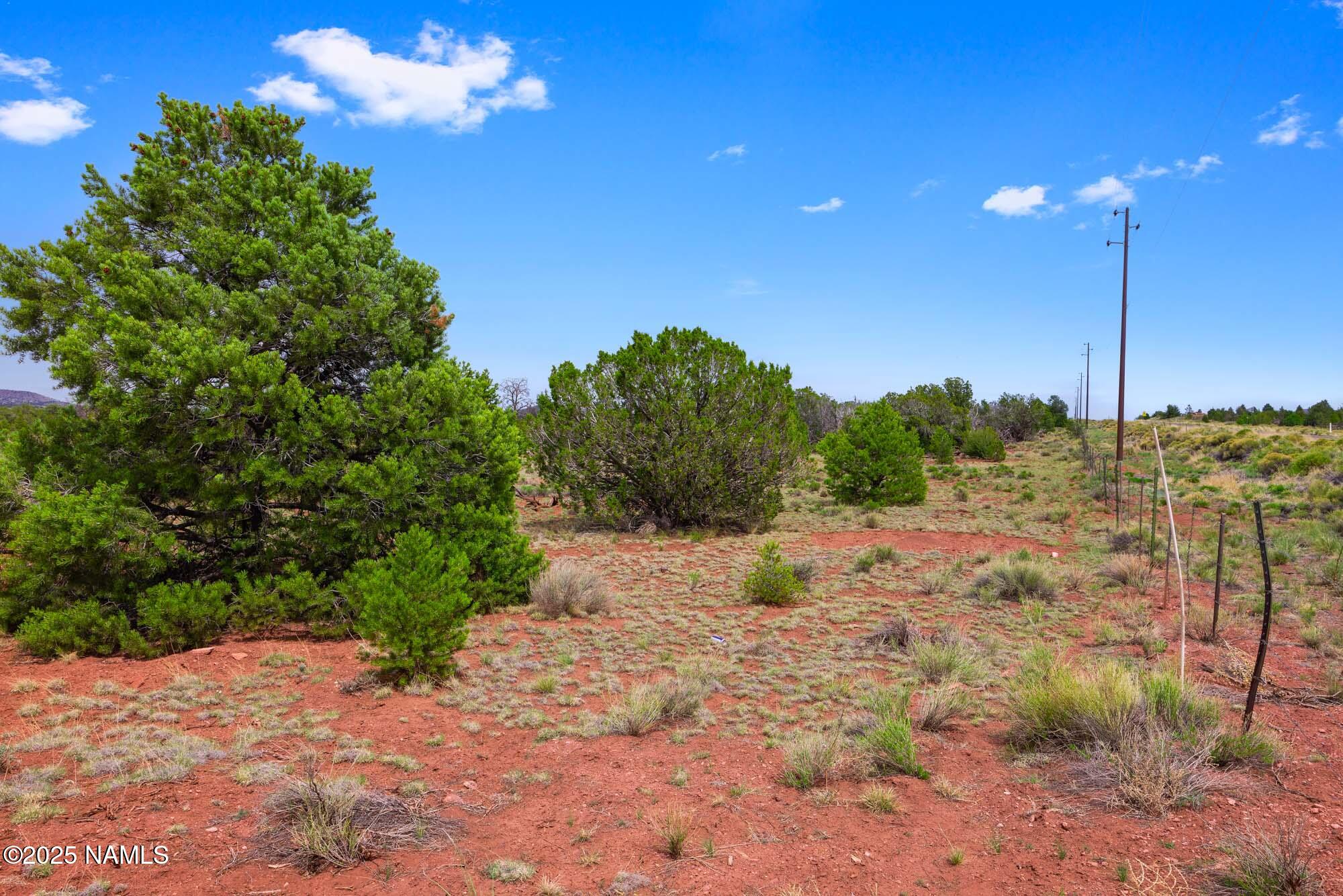 8449 Water Tank Circle, Unit A Williams, AZ 86046 - Photo 37 of 56 a view of a yard with a tree