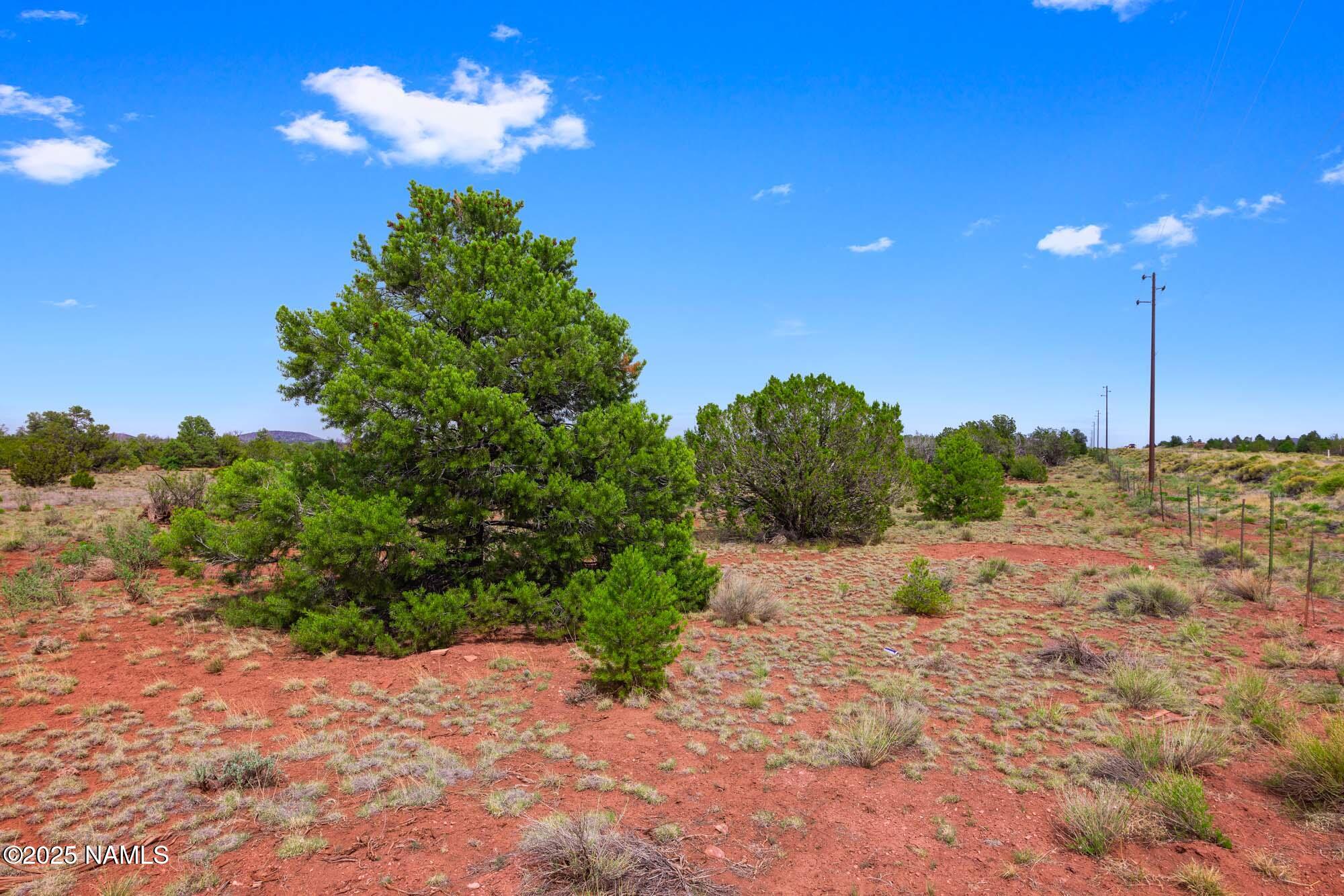 8449 Water Tank Circle, Unit A Williams, AZ 86046 - Photo 39 of 56 a view of a yard with a tree