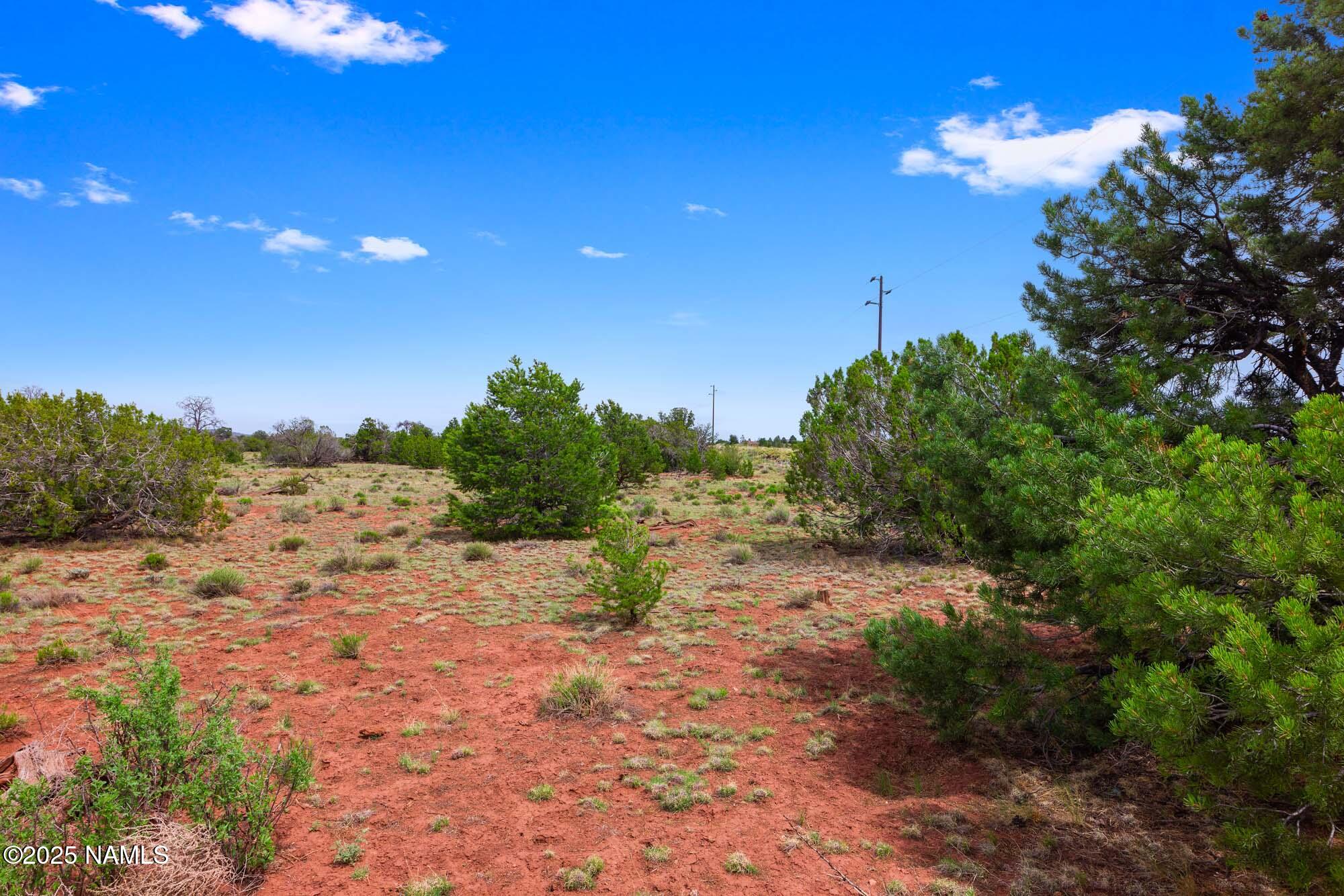 8449 Water Tank Circle, Unit A Williams, AZ 86046 - Photo 40 of 56 a view of a yard with a tree