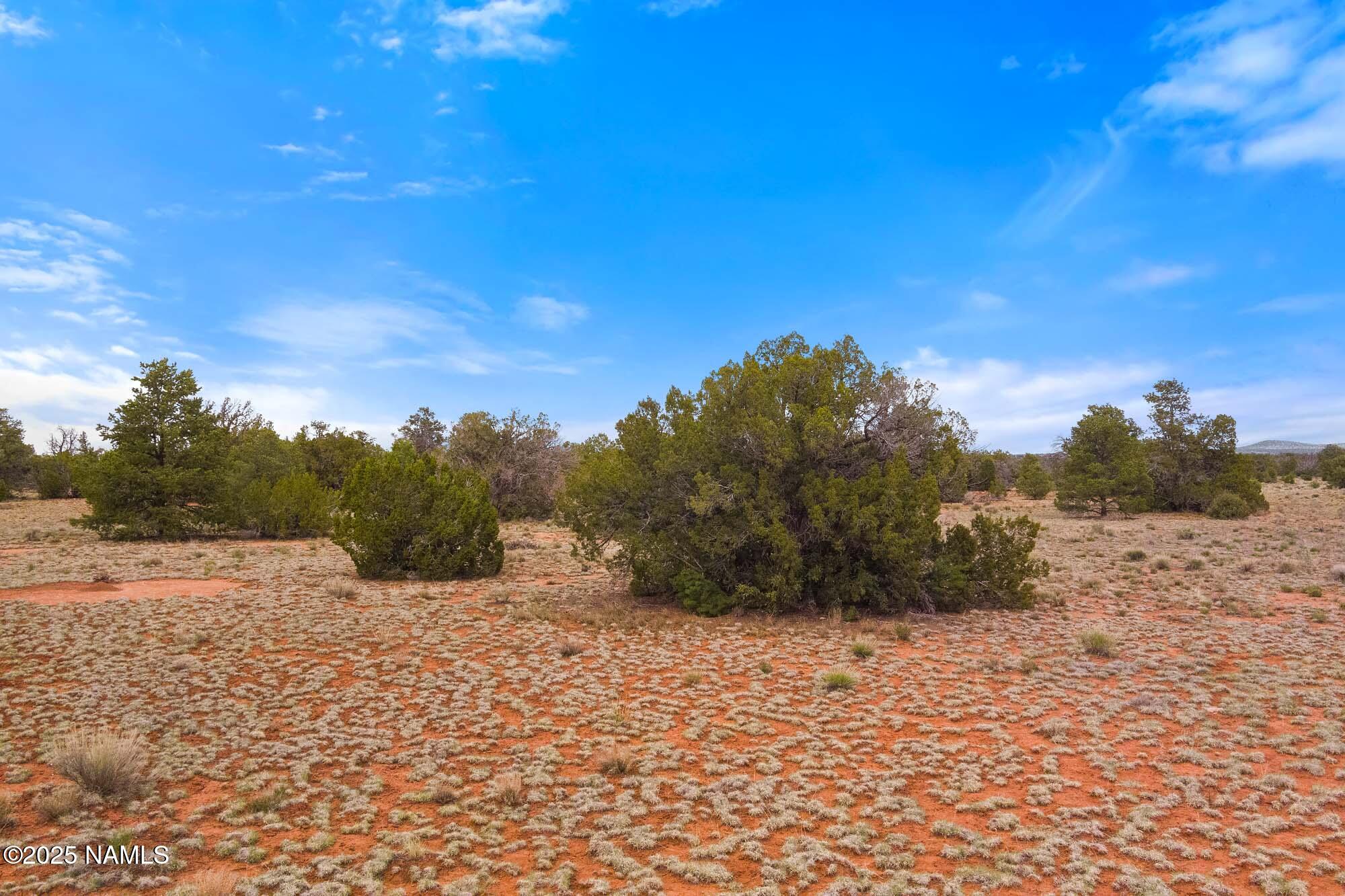 8449 Water Tank Circle, Unit A Williams, AZ 86046 - Photo 44 of 56 a view of a dry yard