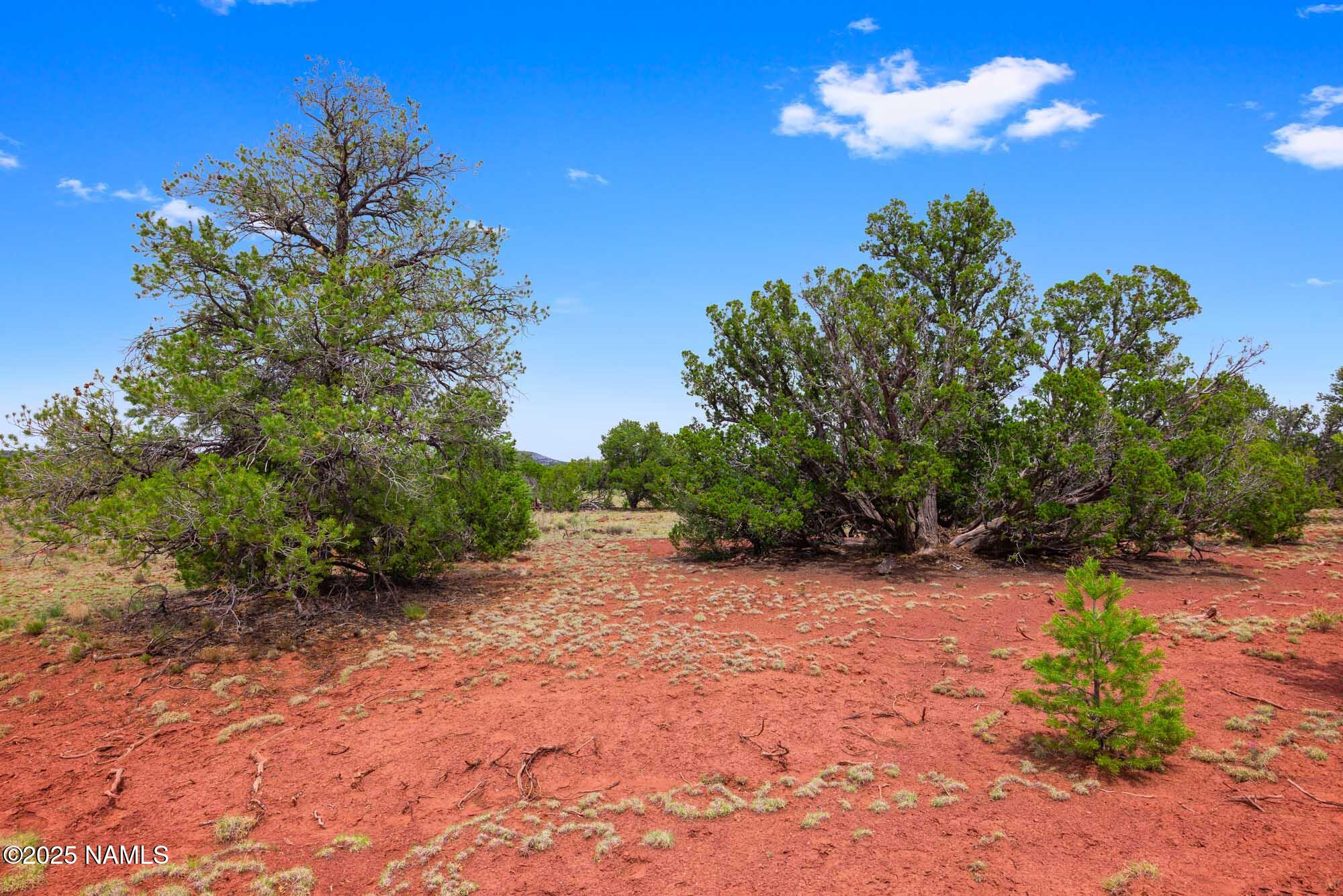 8449 Water Tank Circle, Unit A Williams, AZ 86046 - Photo 5 of 56 a view of a backyard with a tree
