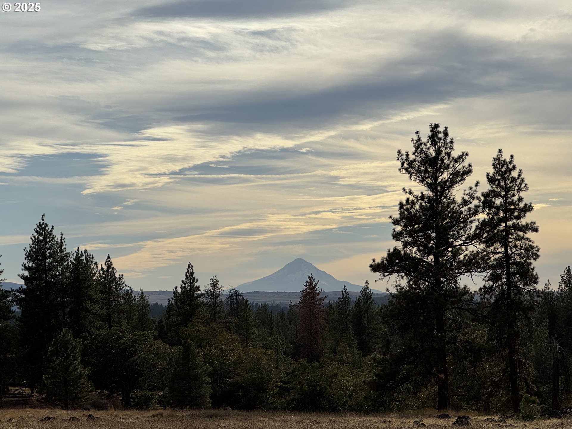 Harris Road Goldendale, WA 98620 - Photo 1 of 26