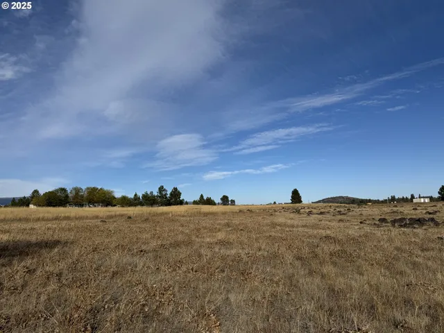 a view of lake with lots of trees