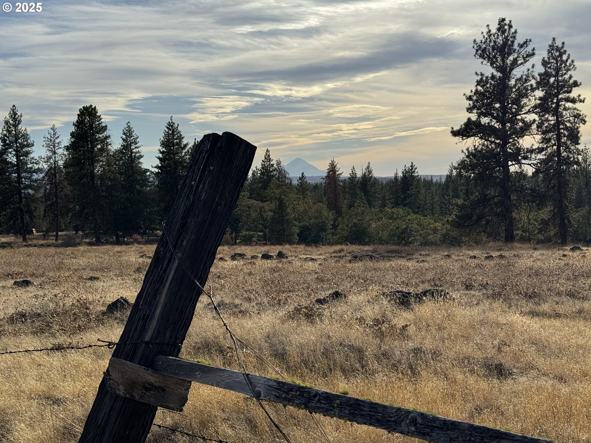 Harris Road Goldendale, WA 98620 - Photo 15 of 26 a view of a dry yard with wooden fence