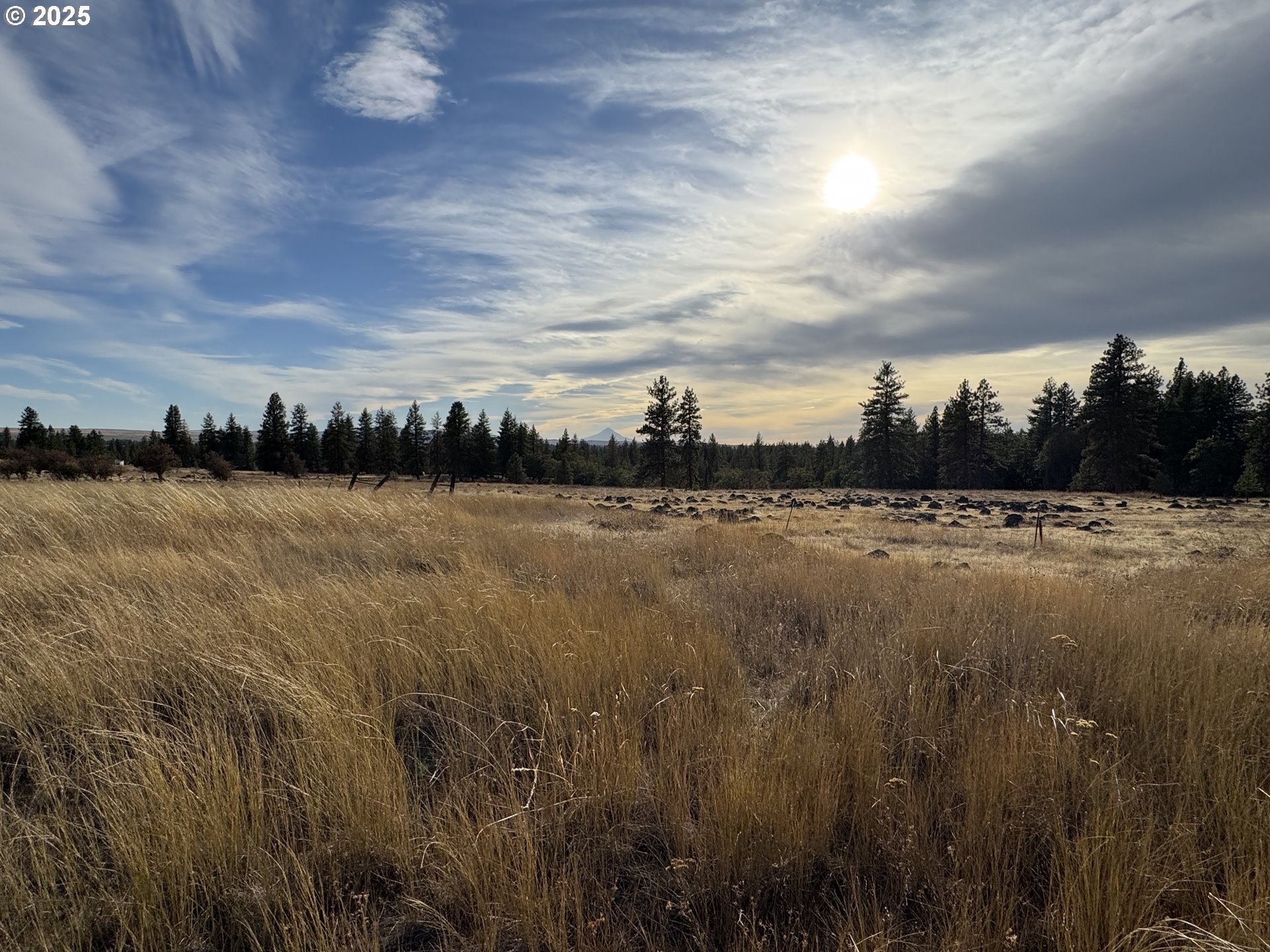 Harris Road Goldendale, WA 98620 - Photo 17 of 26 a view of lake with lots of trees