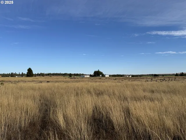 a view of lake and mountain