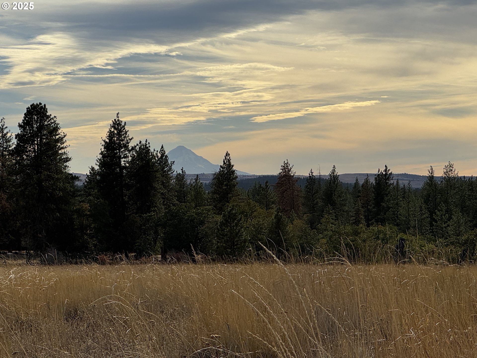 Harris Road Goldendale, WA 98620 - Photo 19 of 26