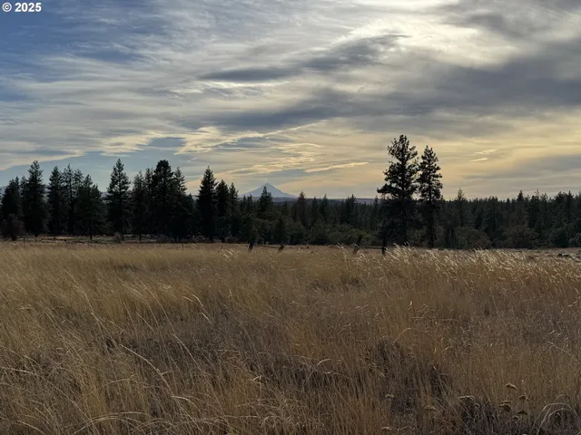 a view of lake and mountain