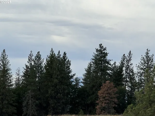 $49,900 | Harris Road, Goldendale, WA 98620