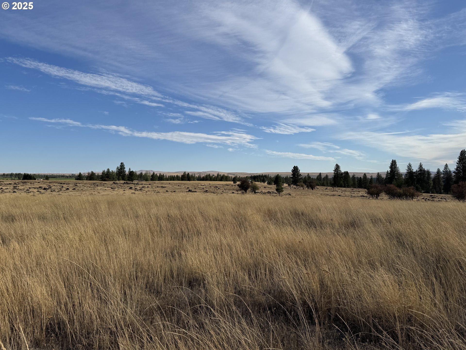Harris Road Goldendale, WA 98620 - Photo 3 of 26 a view of lake