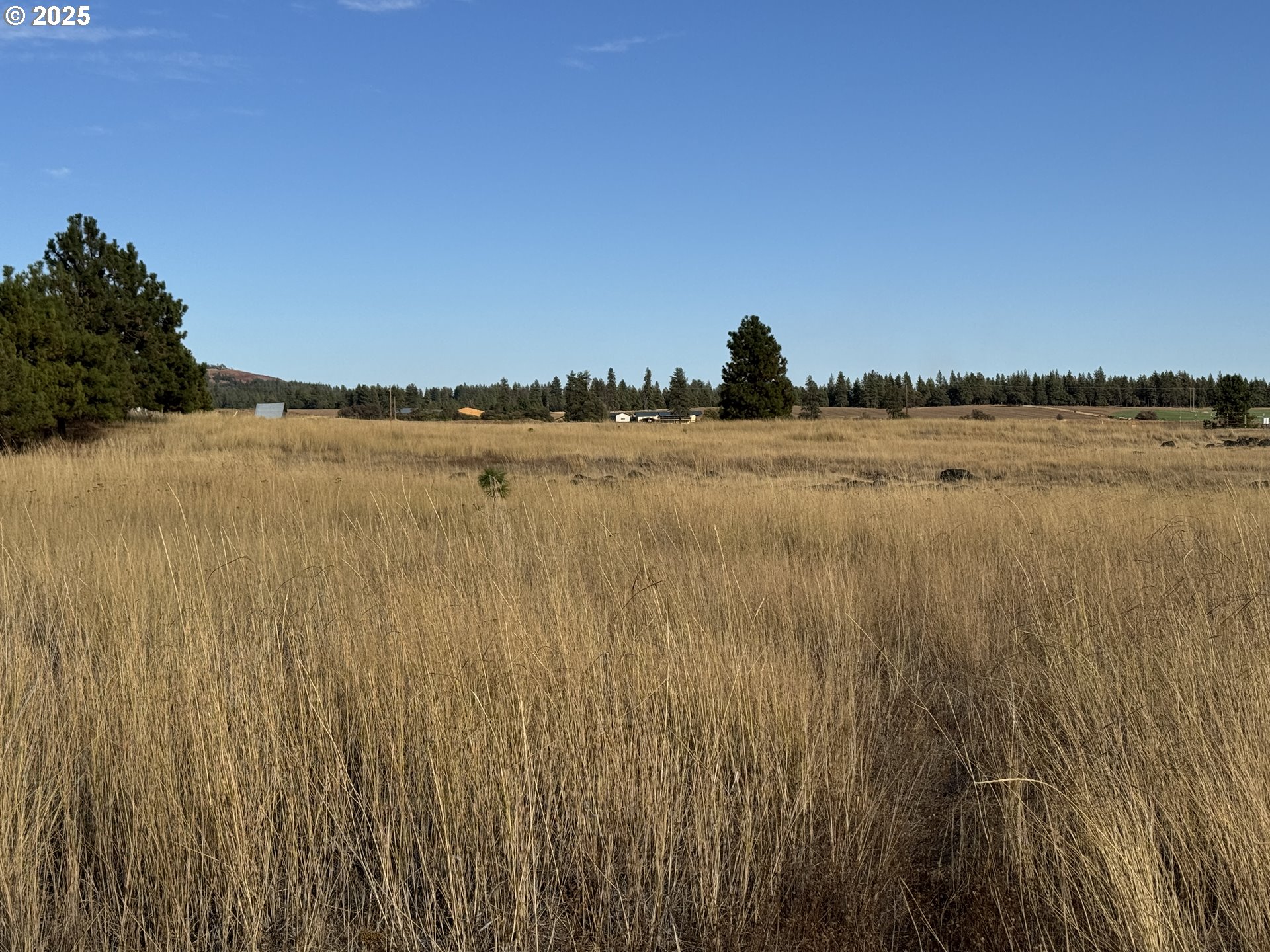 Harris Road Goldendale, WA 98620 - Photo 5 of 26 a view of lake and mountain