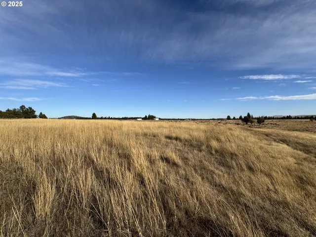 a view of an ocean and beach