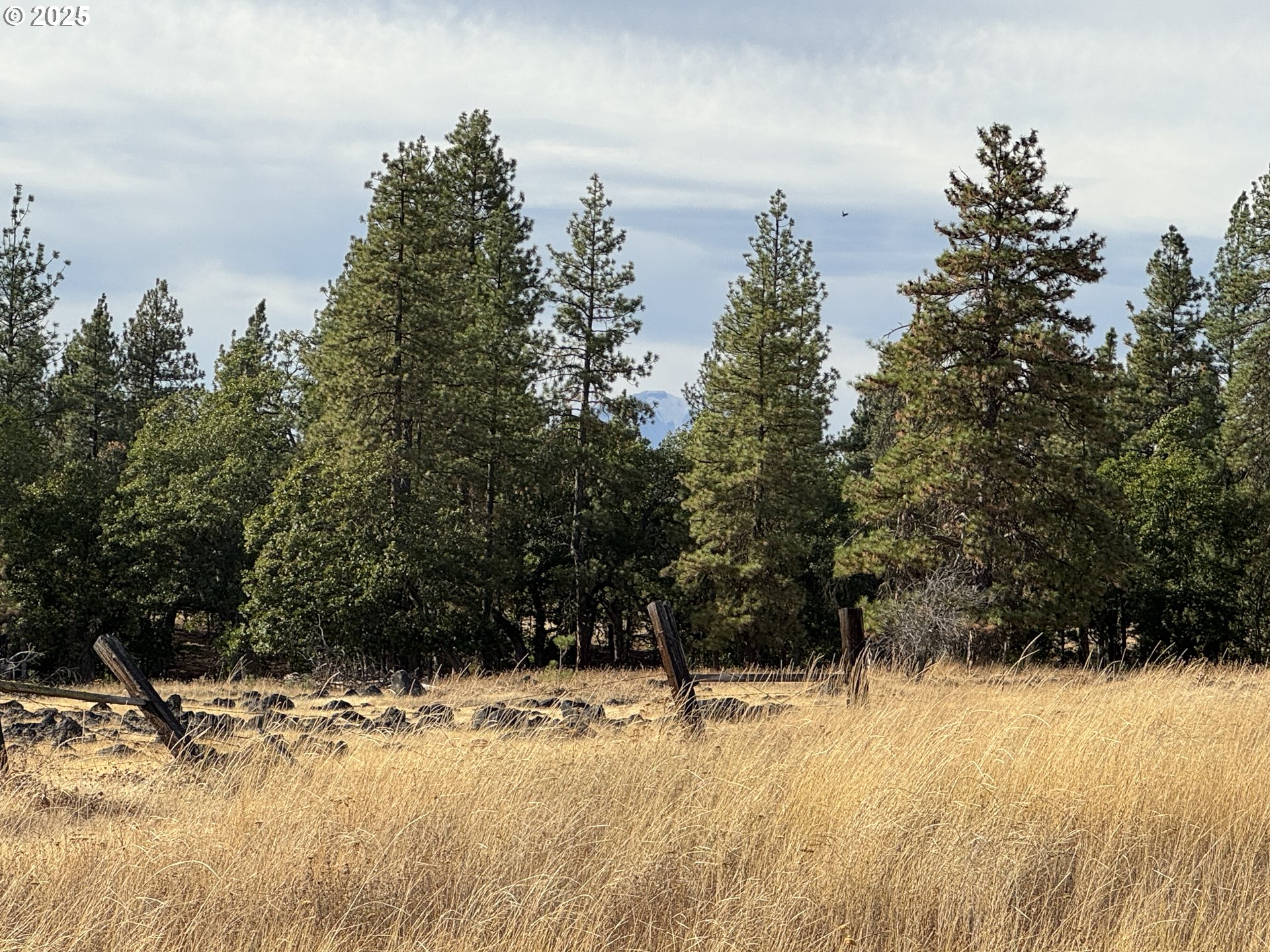 Harris Road Goldendale, WA 98620 - Photo 7 of 26 a view of a snow yard and mountain