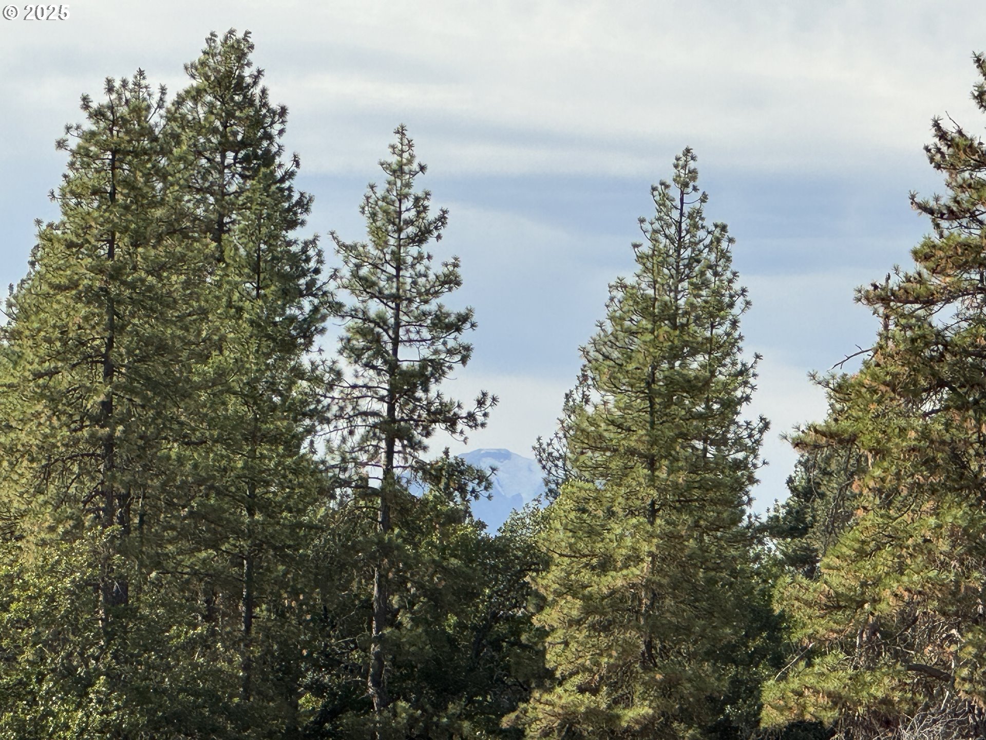 Harris Road Goldendale, WA 98620 - Photo 8 of 26 a view of a city