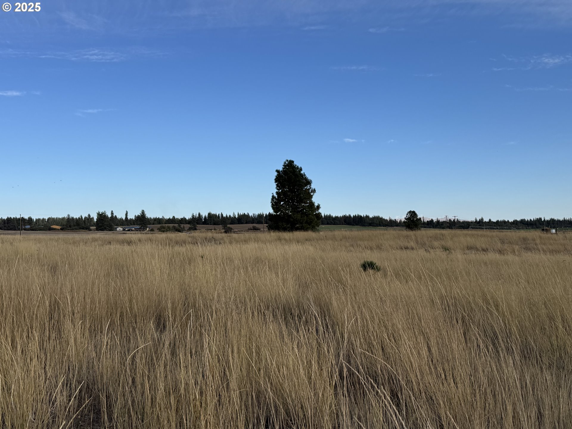 Harris Road Goldendale, WA 98620 - Photo 9 of 26