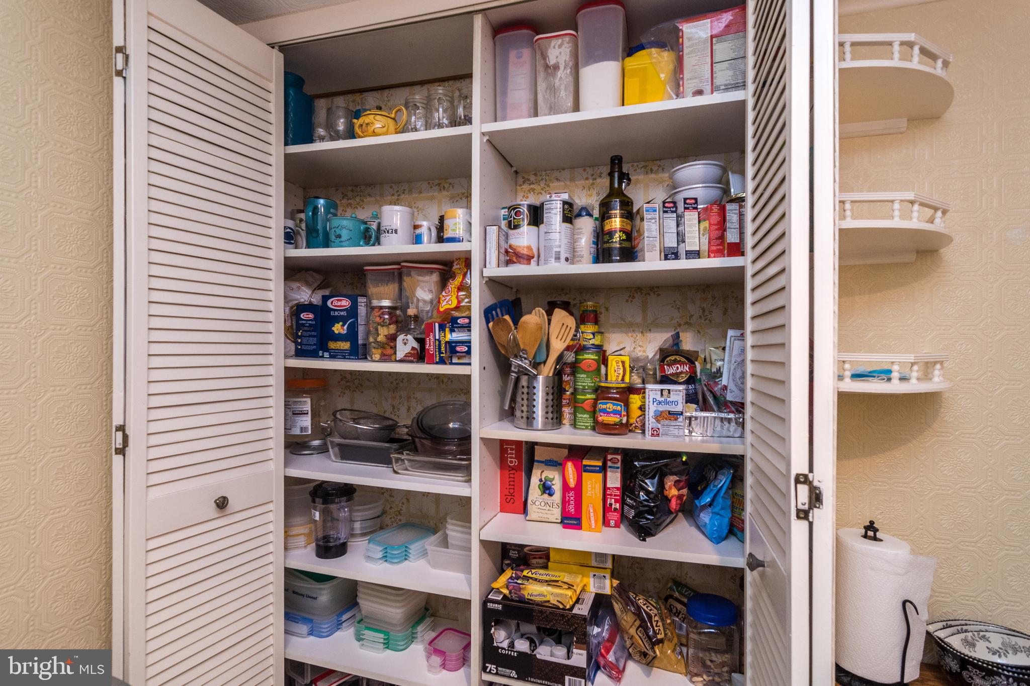 407 Norfolk Road Flourtown, PA 19031 - Photo 23 of 47 Kitchen Pantry and Storage