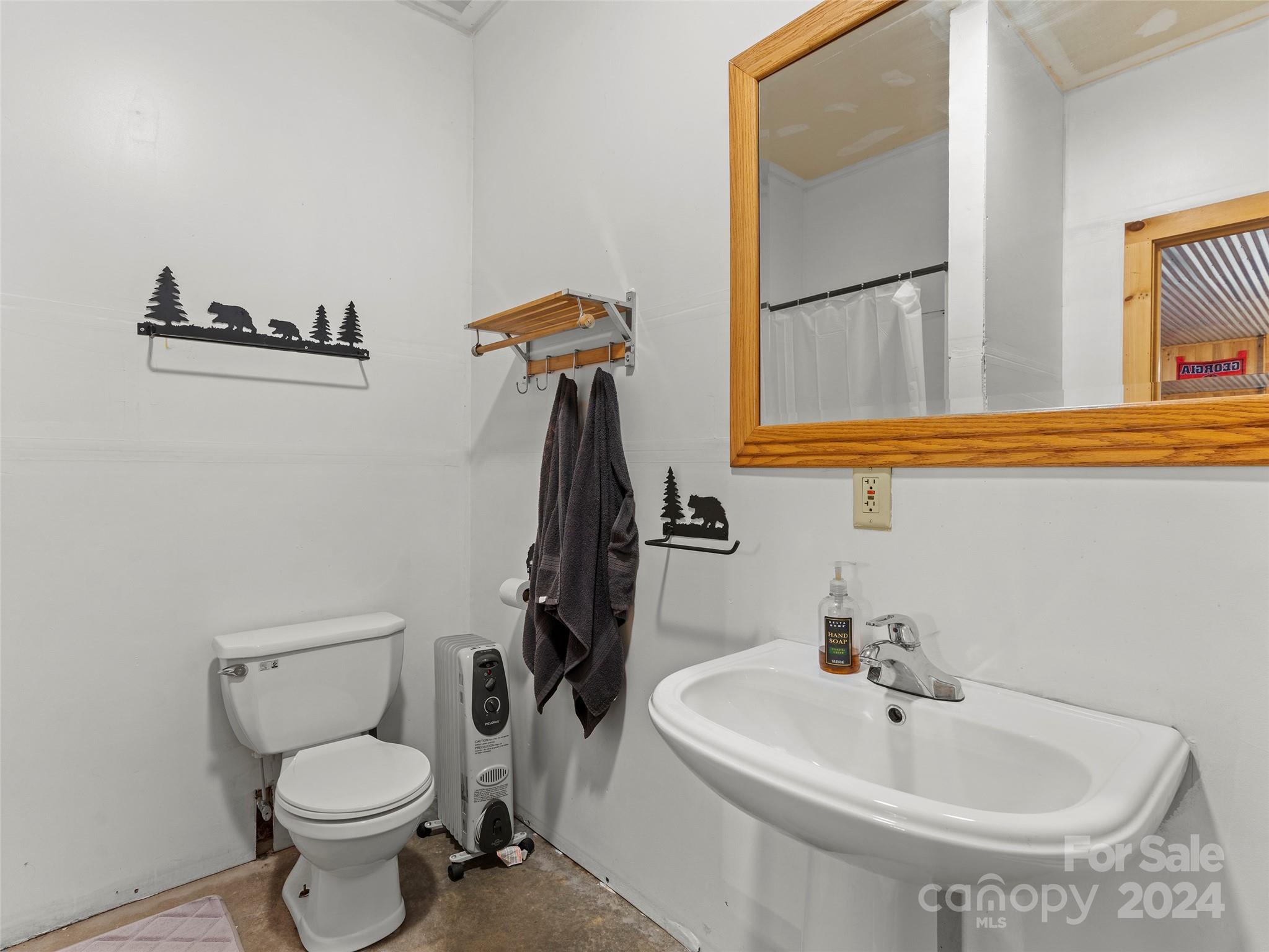 25 Dawn Valley Road Waynesville, NC 28785 - Photo 32 of 46 a bathroom with a sink and a toilet