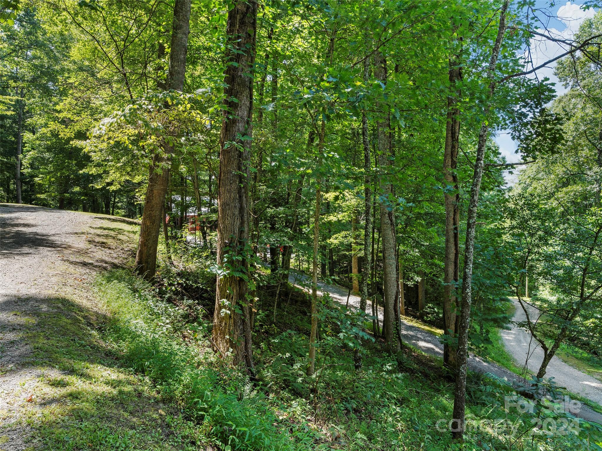 25 Dawn Valley Road Waynesville, NC 28785 - Photo 36 of 46