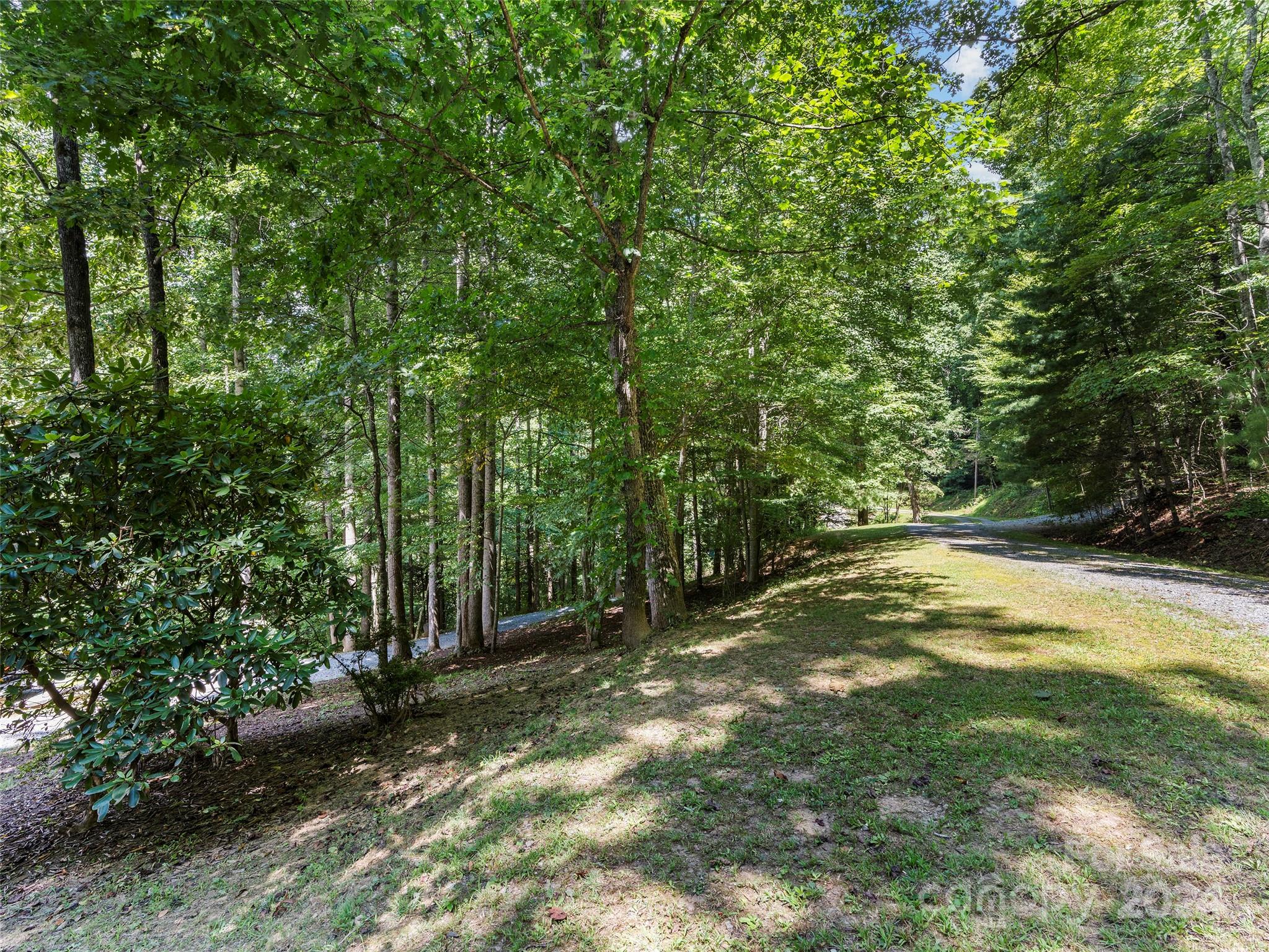 25 Dawn Valley Road Waynesville, NC 28785 - Photo 37 of 46 a view of outdoor space with trees all around