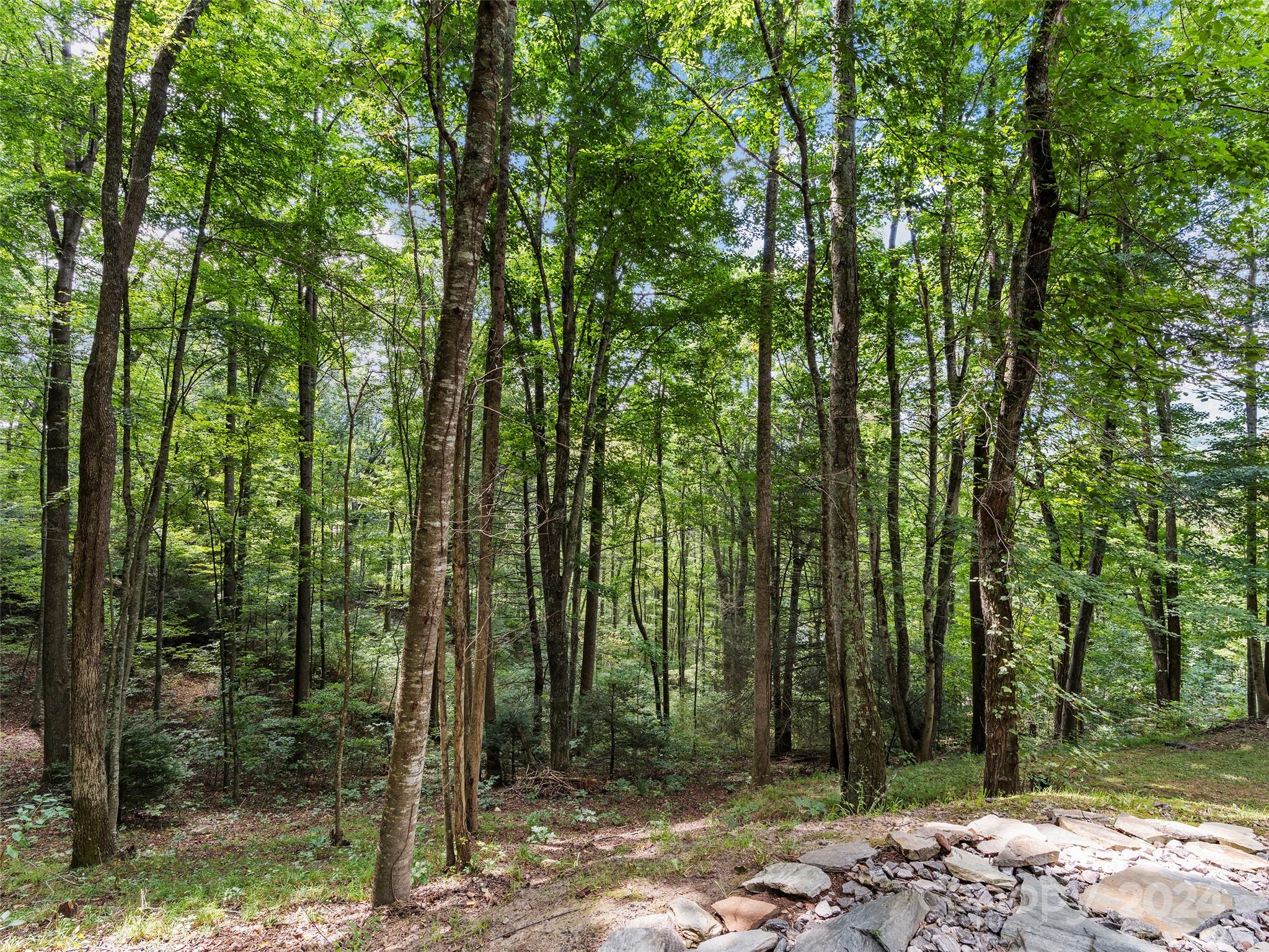25 Dawn Valley Road Waynesville, NC 28785 - Photo 41 of 46 a view of outdoor space and yard