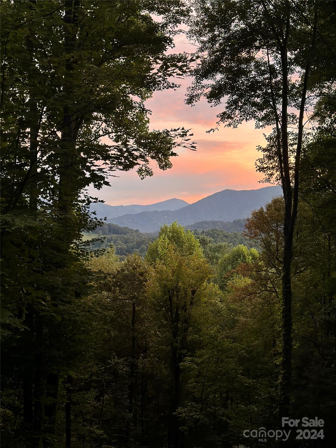 25 Dawn Valley Road Waynesville, NC 28785 - Photo 44 of 46 a view of a city