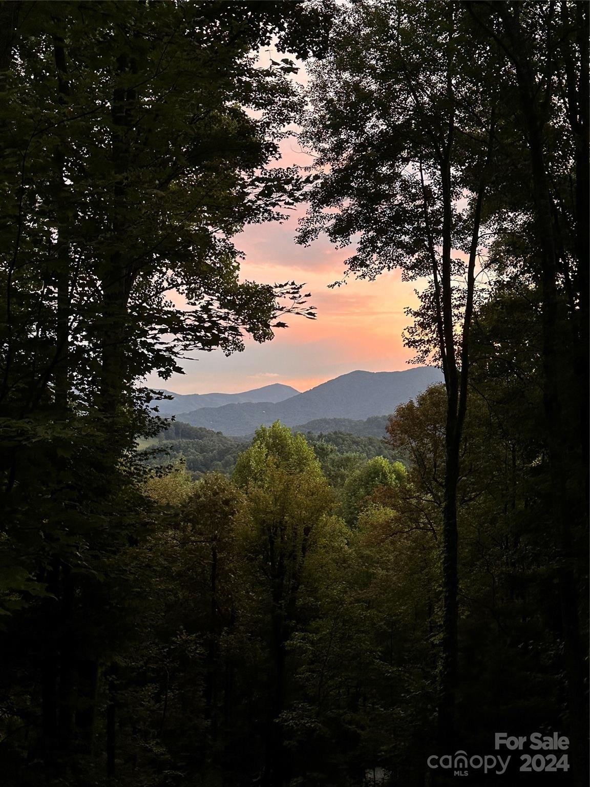 25 Dawn Valley Road Waynesville, NC 28785 - Photo 45 of 46 a view of mountain view with mountains in the background