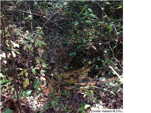0 County Road 229, Unit 22 AC Fruithurst, AL 36262 - Photo 6 of 12