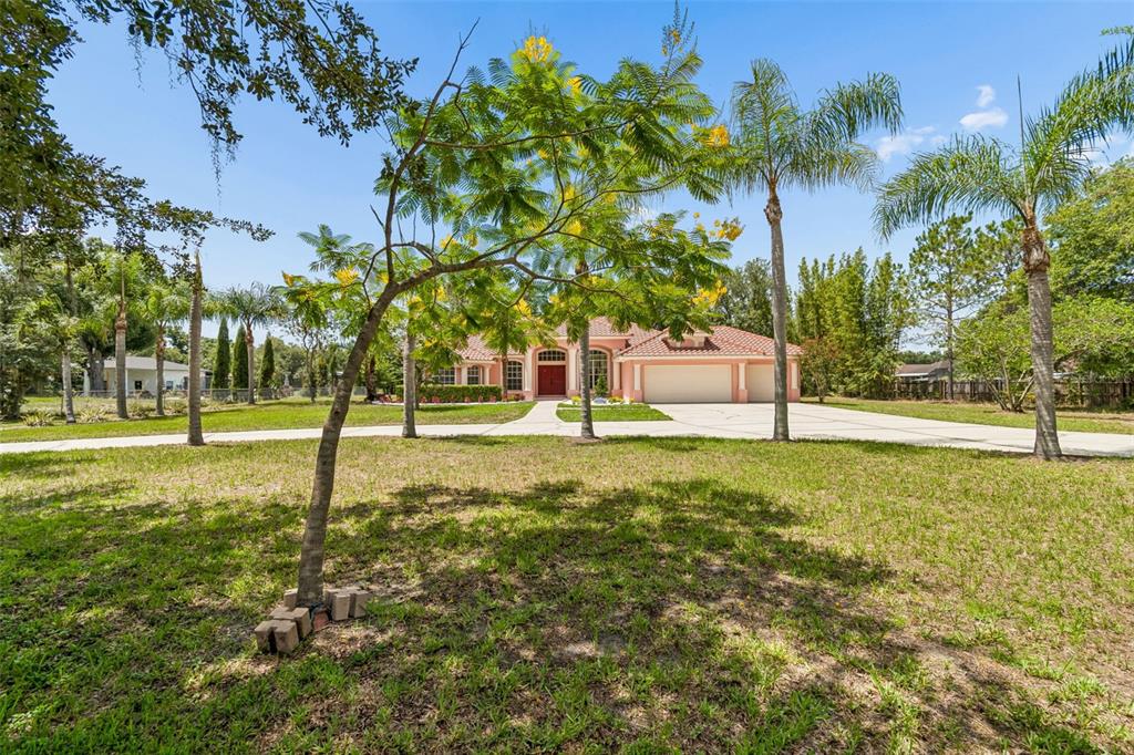9619 Springbrook Drive Riverview, FL 33578 - Photo 8 of 55