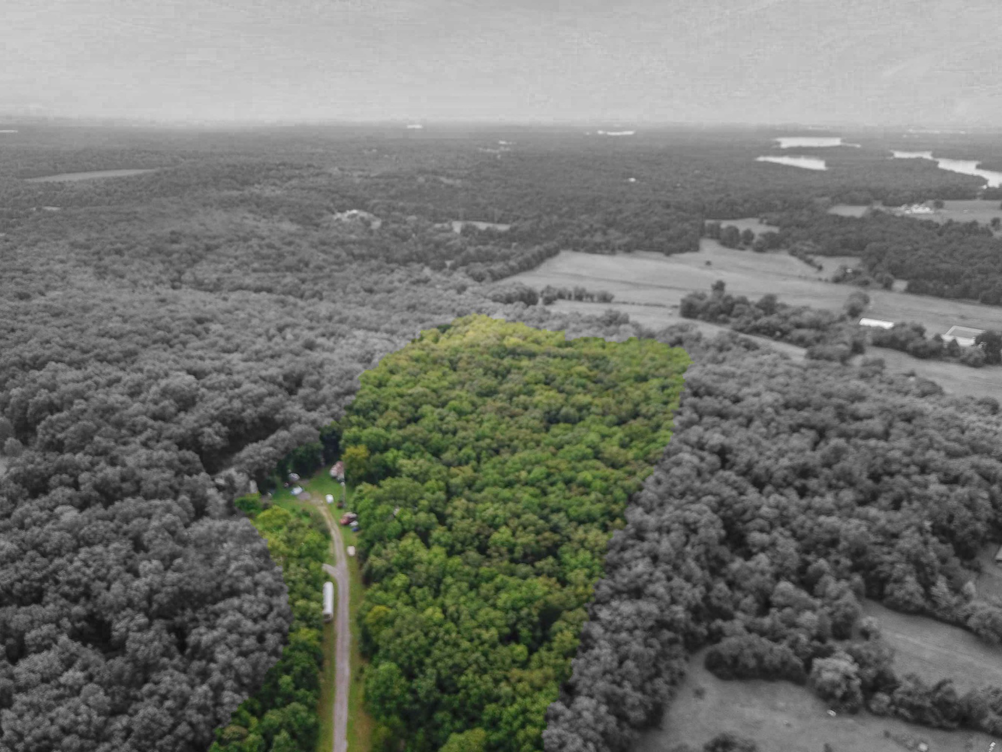 1769 Corinth Road Mount Juliet, TN 37122 - Photo 4 of 13 a view of a dry yard