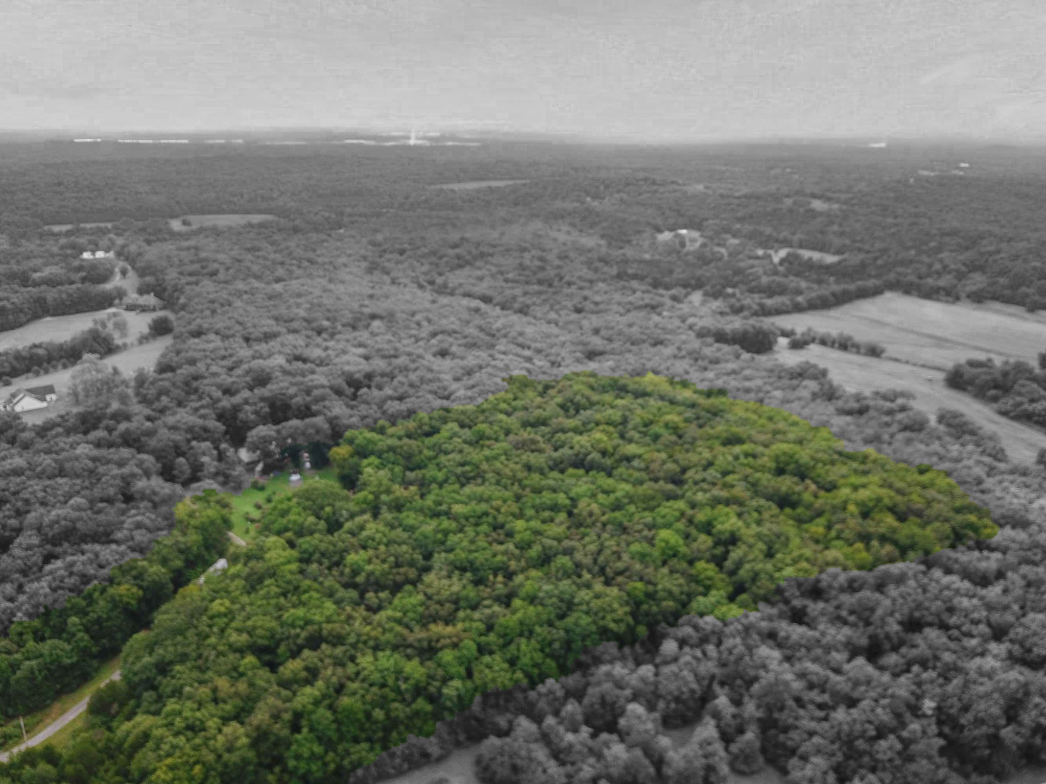 1769 Corinth Road Mount Juliet, TN 37122 - Photo 5 of 13 a view of a field with plants and trees
