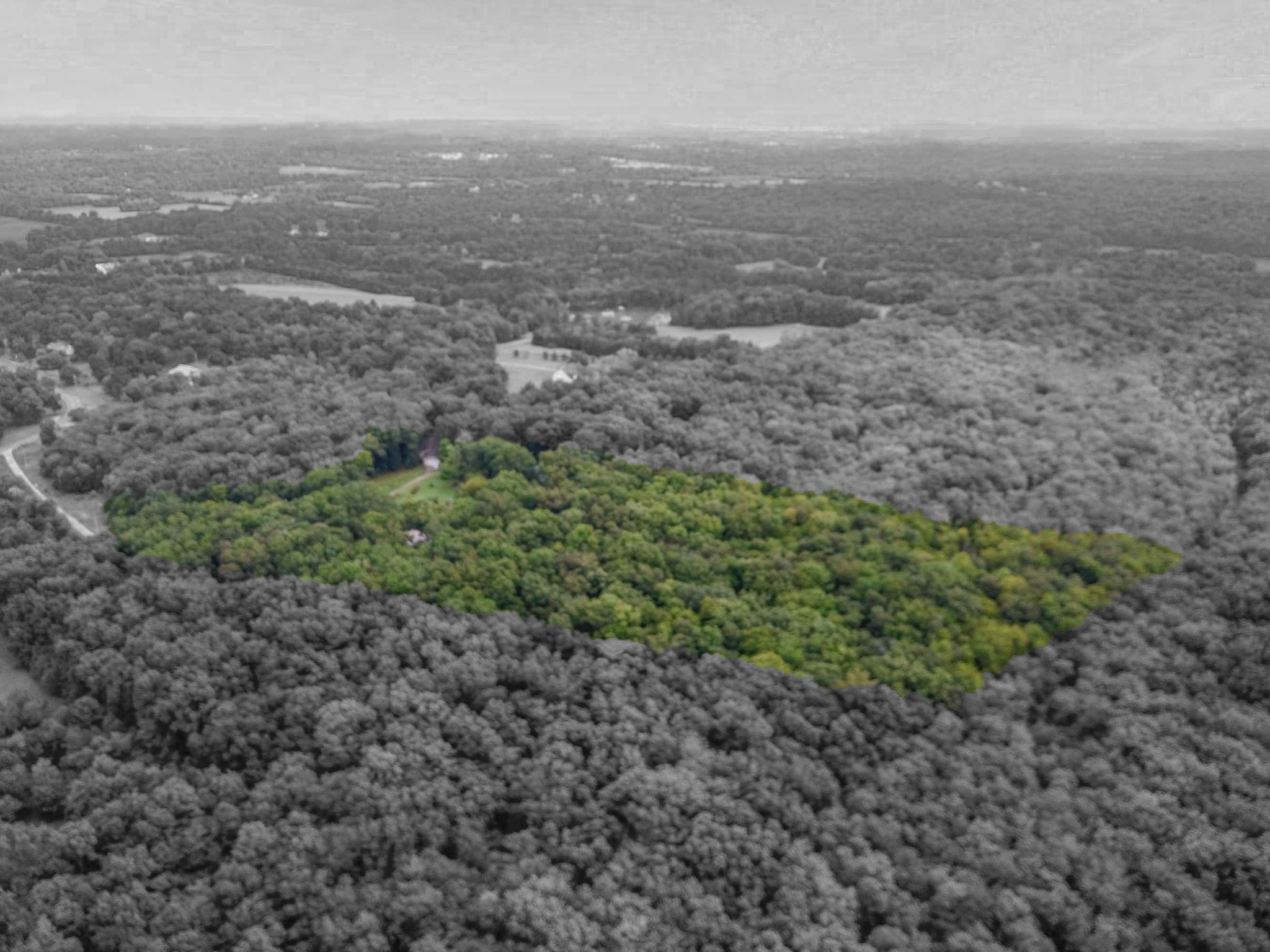 1769 Corinth Road Mount Juliet, TN 37122 - Photo 9 of 13 a view of a large yard with lots of green space