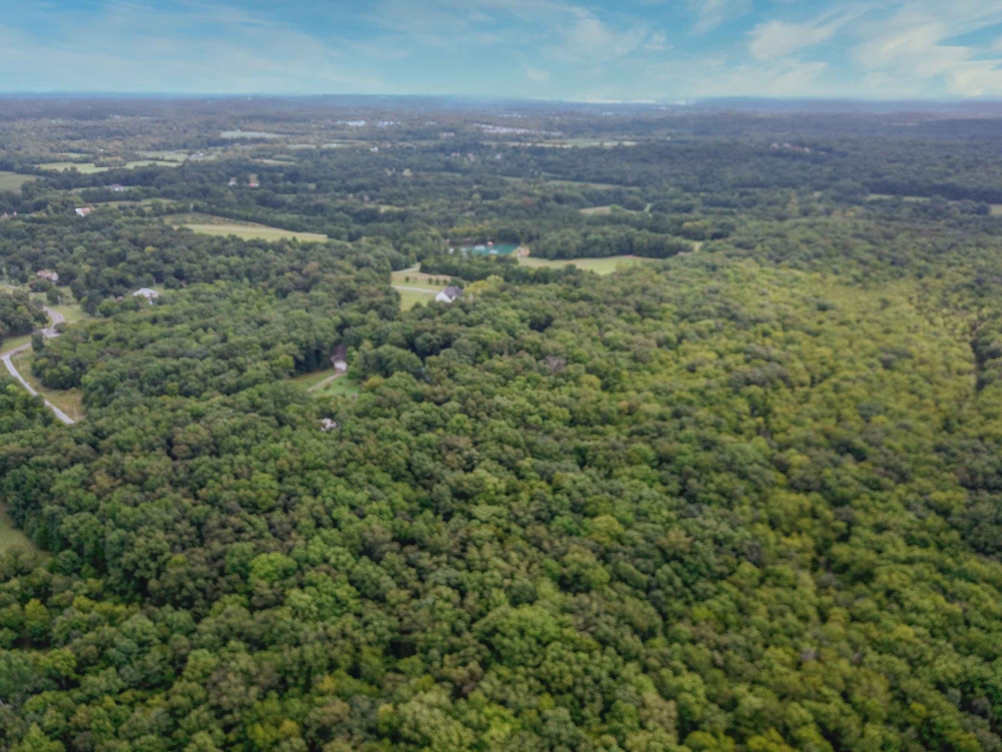 1769 Corinth Road Mount Juliet, TN 37122 - Photo 10 of 13 a view of a yard with an outdoor space
