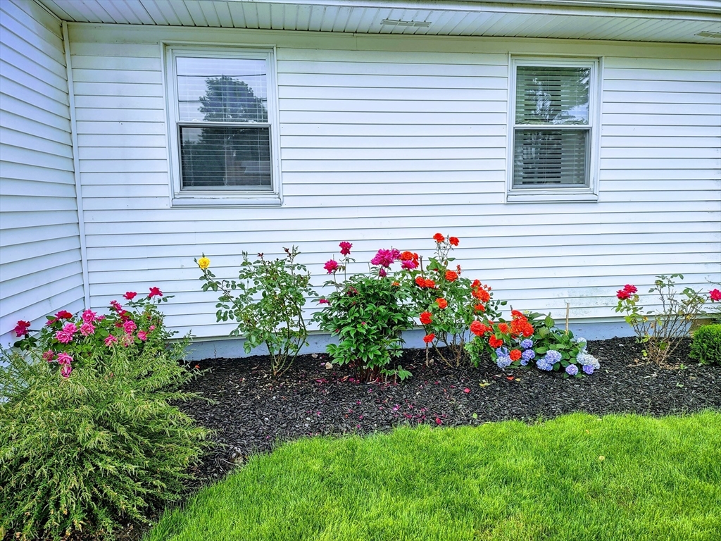 4 Powdrell Avenue Randolph, MA 02368 - Photo 27 of 39