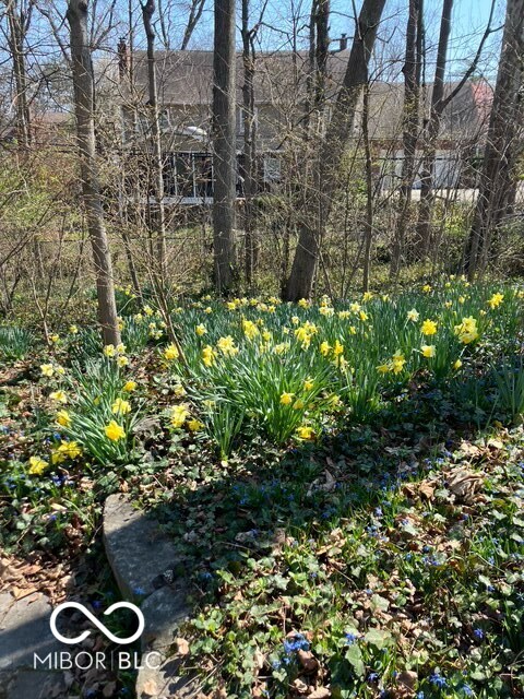 1229 Ridge Road Carmel, IN 46033 - Photo 46 of 46