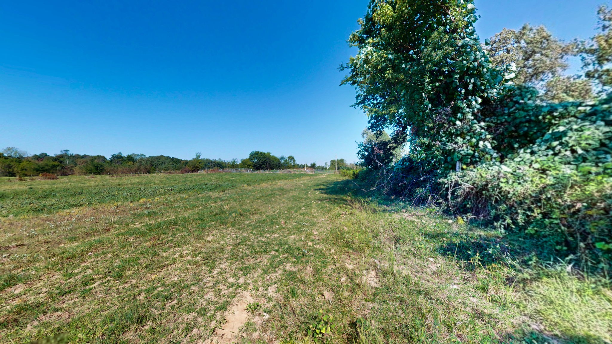 0 Old Murray Paris Road Puryear, TN 38251 - Photo 10 of 18 a view of a lush green space