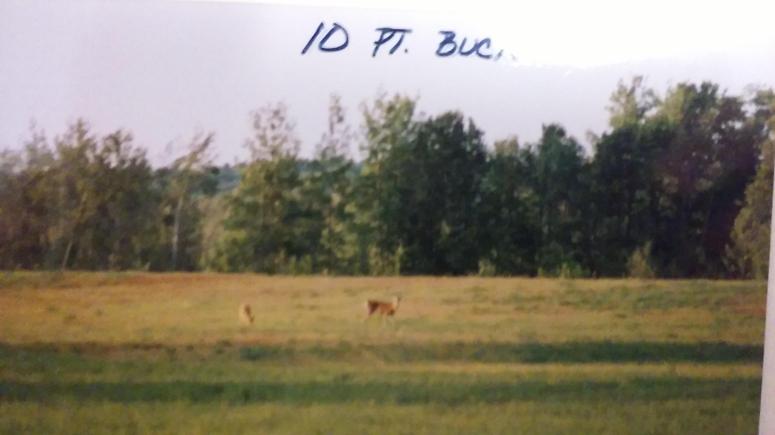 2115 Baker Road Cheboygan, MI 49721 - Photo 22 of 33 Gallery Image 22