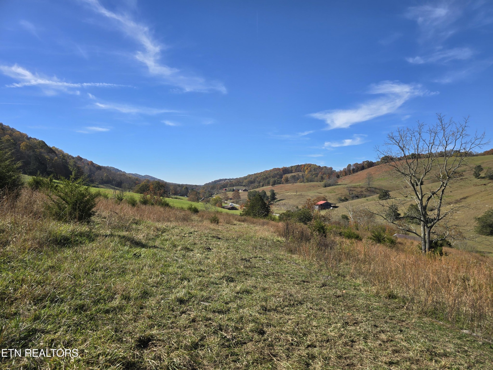 2391 Hogskin Road Washburn, TN 37888 - Photo 26 of 30 Gallery Image 26