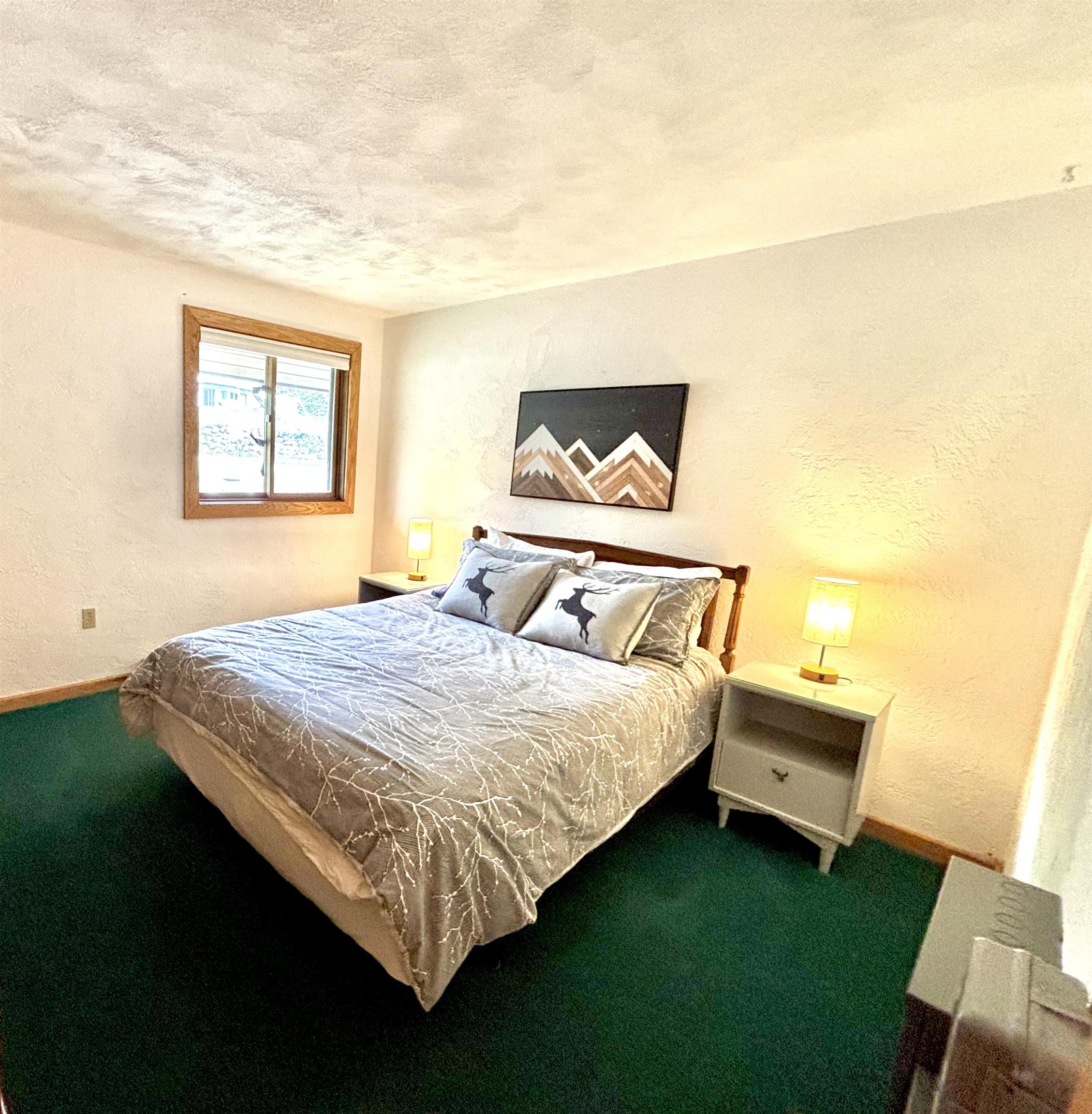 3 A Christmas Mountain Road, Unit 3 Bartlett, NH 03845 - Photo 22 of 37