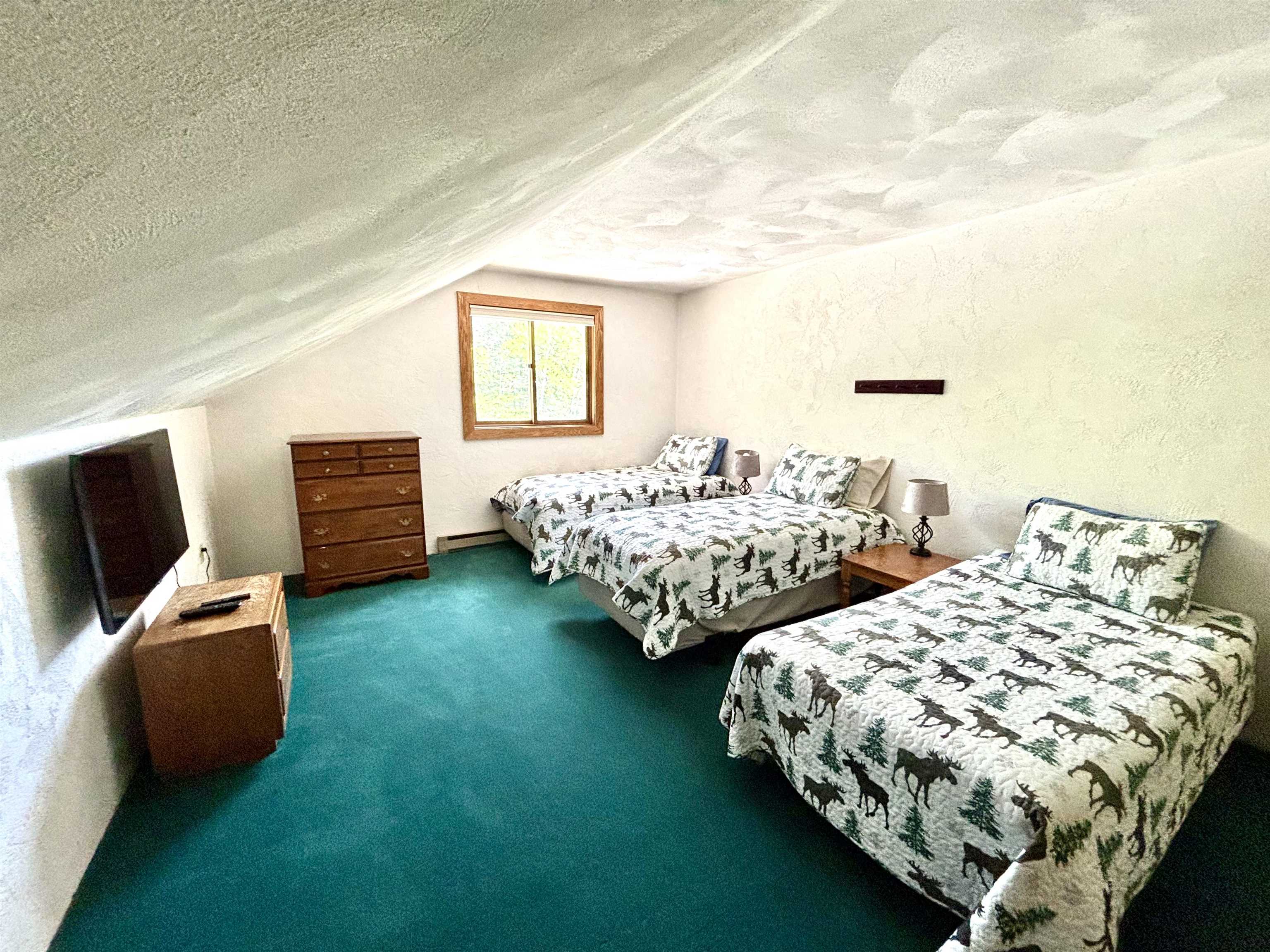 3 A Christmas Mountain Road, Unit 3 Bartlett, NH 03845 - Photo 29 of 37