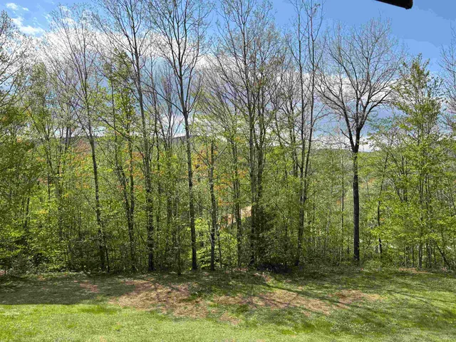 $370,000 | 3 A Christmas Mountain Road, Unit 3, Bartlett, NH 03845