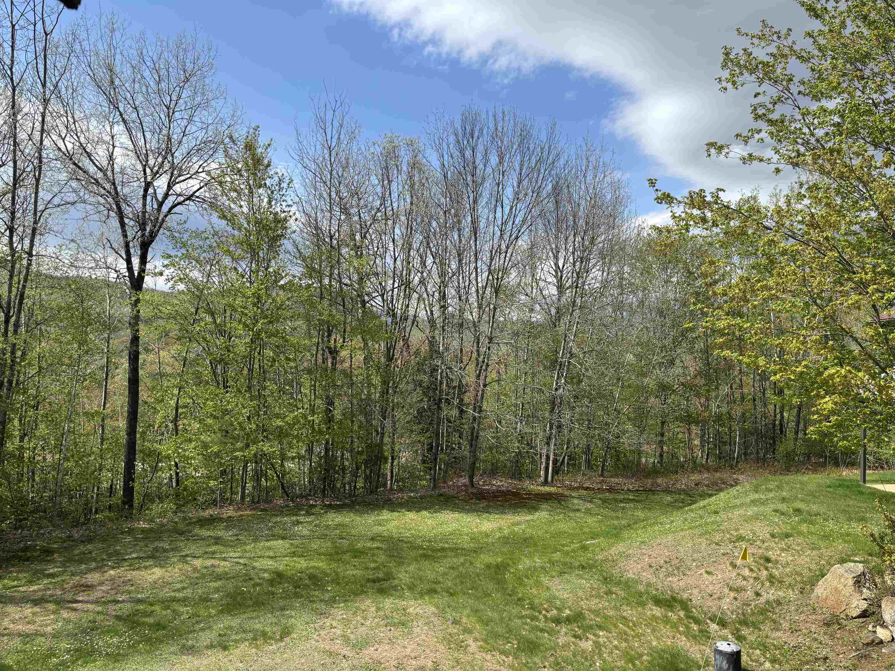 3 A Christmas Mountain Road, Unit 3 Bartlett, NH 03845 - Photo 36 of 37