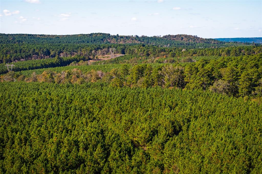 0 County Road 857 Cushing, TX 75760 - Photo 1 of 38 a view of a lush green forest with lush green forest