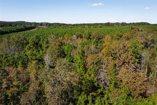 a view of a green field with lots of bushes