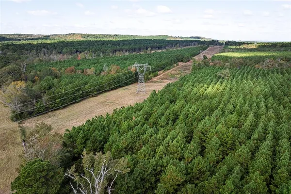 a view of a field with a plant in the background