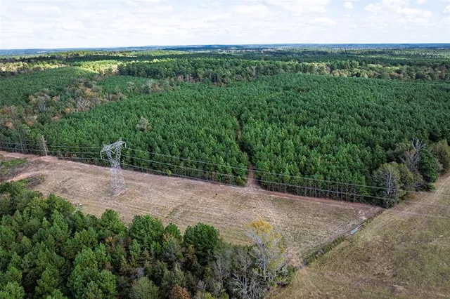 a view of a lush green forest with lots of trees