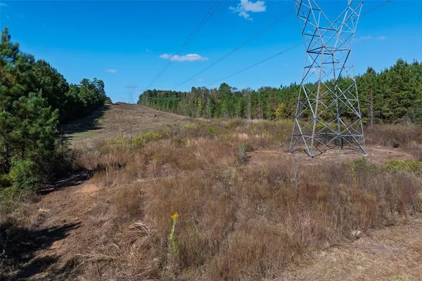 a view of a pathway both side of yard