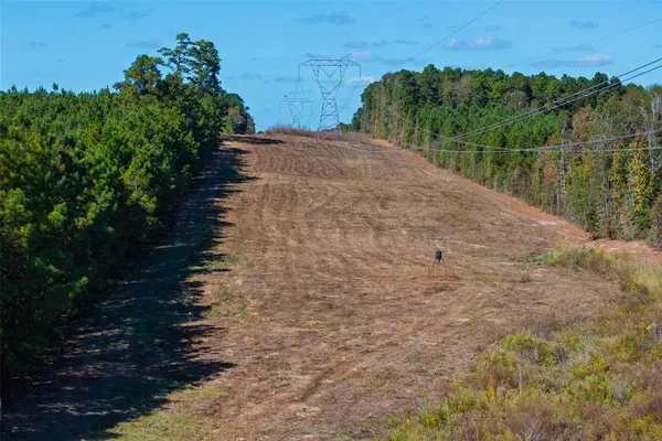 a view of a field with a plant