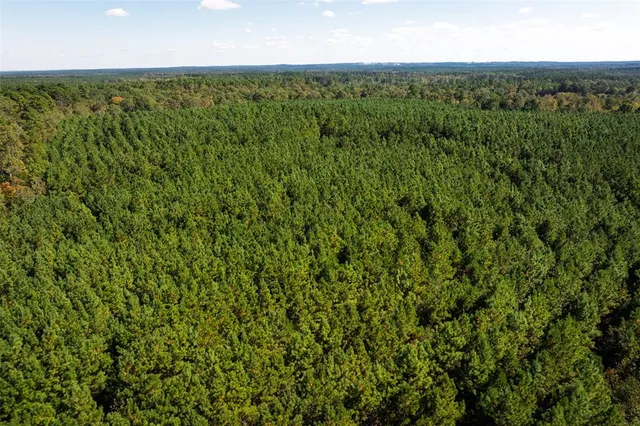 a view of a lush green field