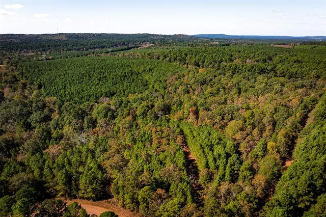 a view of a lush green field